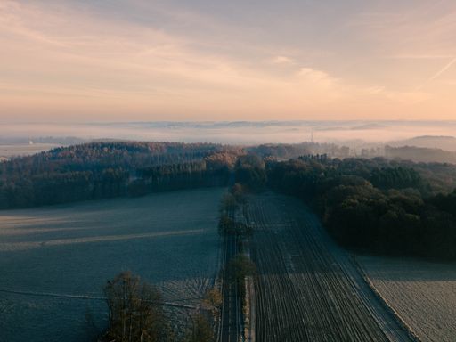 A scenic view of a vast agricultural field under a beautiful sunset