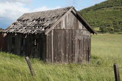 An Old abandoned shed in springtime