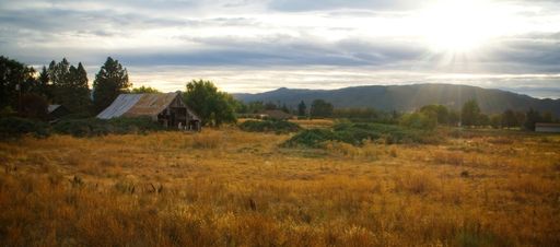 A Late afternoon shot of an old barn in the field during Autumn