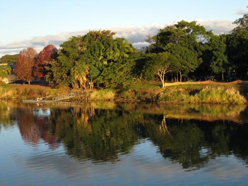 A beautiful shot of water near a shore covered in trees under a cloudy sky at daytime