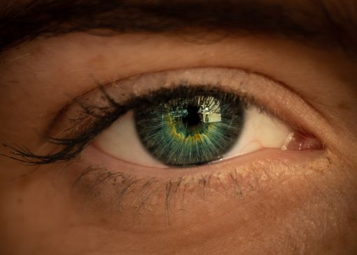 A macro shot of a beautiful human eye