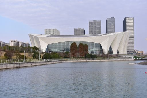 A beautiful exterior view of the Shanghai Oriental Sports Center with skyscrapers near the seaside