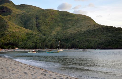 A beautiful shot of boats on the water near the shore with a forested mountain in the background