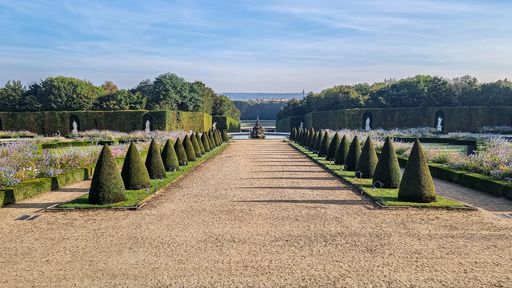 A Beautiful shot of green plants and grass in Gardens of Versailles under the sun