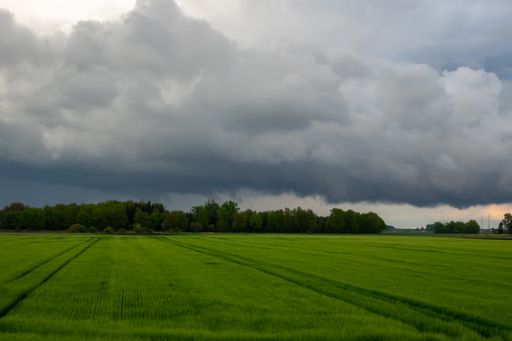 A beautiful landscape with the dramatic cloudy sky over green grass field