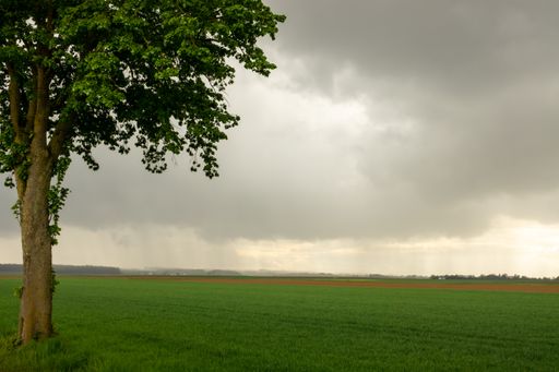 A spectacular view of stormy clouds over the green meadow