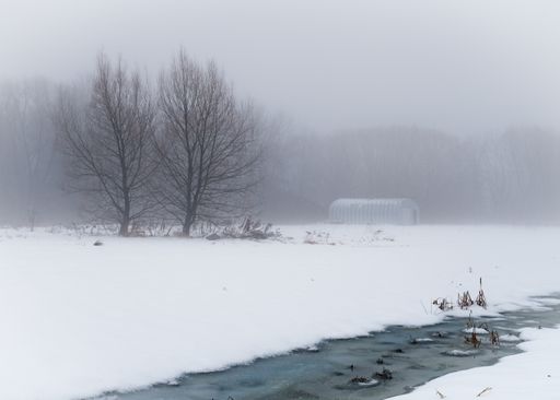 A view of a small creek running through a snowy meadow with leafless trees on a foggy winter day