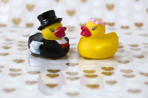 A Yellow Bathtub Ducks Bride and Groom with Reflection