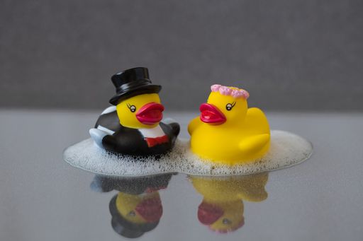 A Yellow Bathtub Ducks Bride and Groom with Reflection