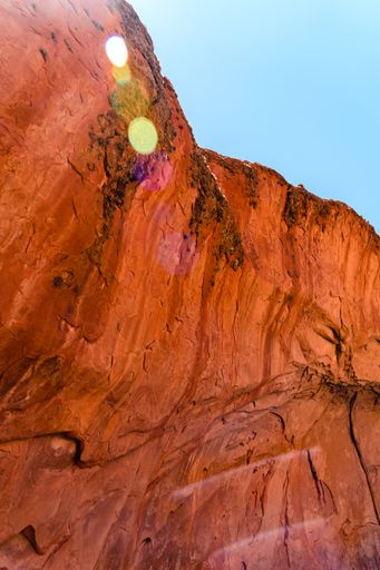the Zion National Park - a nature preserve distinguished by Zion Canyons steep red cliffs