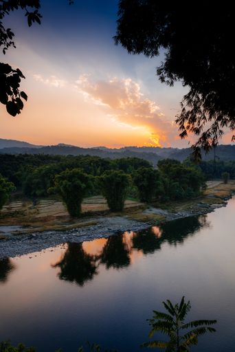 A vertical shot of a shore with trees near the water under a beautiful sky