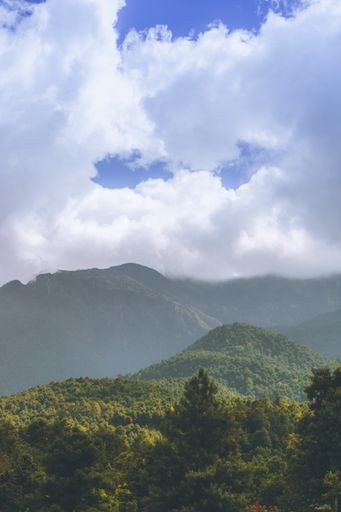 A vertical shot of mountainous landscape seen through trees under a cloudy sky