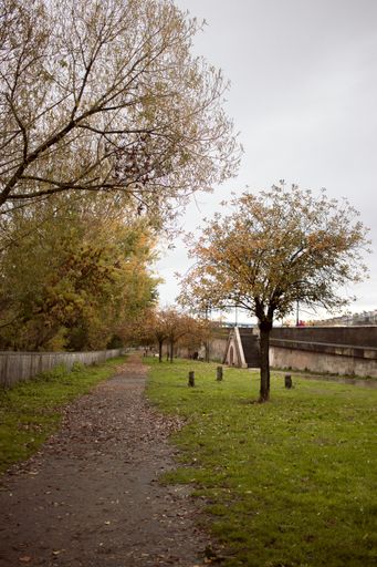 A vertical shot of a narrow pathway in a park covered in yellowing trees and dried leaves in autumn