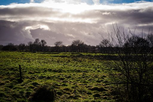 A scenic view of a meadow covered with green grass and trees, lit by sunlight through the clouds