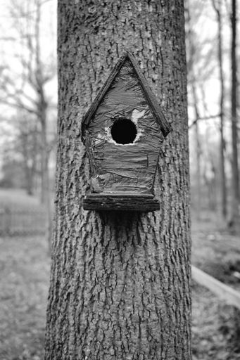 A vertical shot of a small, cute bird house on the tree