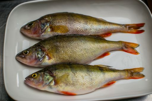 A top view of raw fish on a white platter