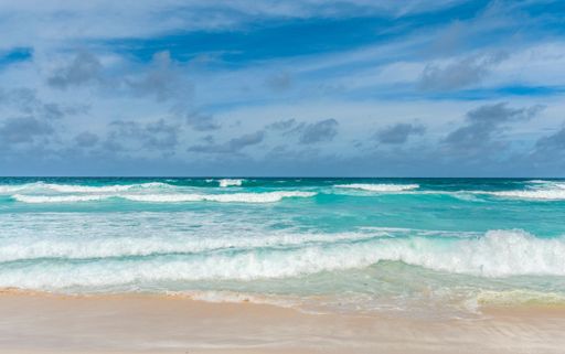 A beautiful landscape of sandy beach with crashing waves