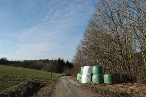 A landscape with covered hay rolls near the road on a sunny day