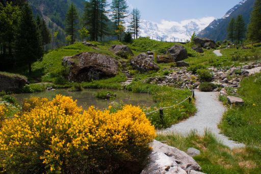 A beautiful landscape with yellow flowers in Italy