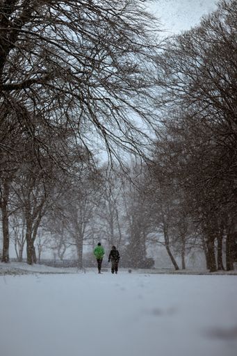A vertical shot of a beautiful couple walking in winter