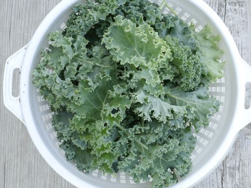 A close-up top view shot of a freshly picked kale from the garden in a white plastic strainer on a wooden table
