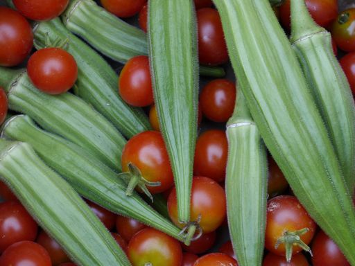 A close-up top view shot of freshly picked cherry tomatoes and okra from the garden