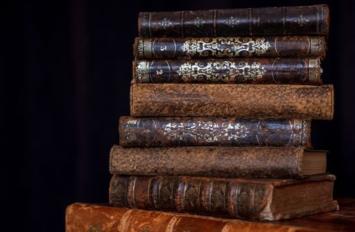 closeup shot of an eight old french leathered covered books back from the 19th century