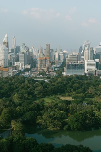 A vertical shot of trees near city buildings under a cloudy sky at daytime