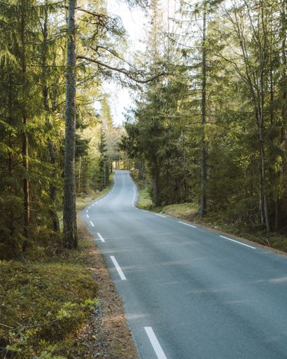 A long road surrounded by green nature