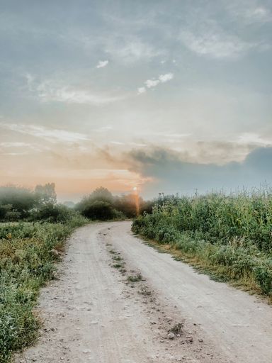 A view of a sandy road with grass and green plants on its both sides against a cloudy sky at sunset