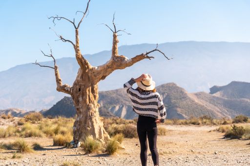 A young female hiker visiting the tree of misfortune in the desert of Tabernas, Almera, Andalusia