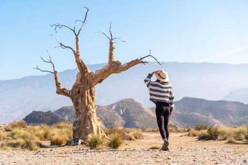 A young female hiker visiting the tree of misfortune in the desert of Tabernas, Almera, Andalusia