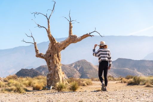 A young female hiker visiting the tree of misfortune in the desert of Tabernas, Almera, Andalusia