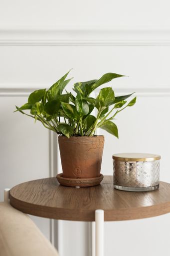 A vertical shot of a simple round table with a potted plant and a candle