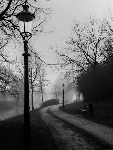 A grayscale vertical shot of a road in a park with street lamps on a gloomy day