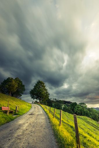 A vertical shot of a pathway in the middle of a grassy field with trees under a cloudy sky