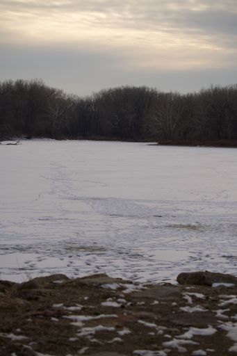 A vertical shot of a frozen lake covered in the snow in a forest under a cloudy sky in Kansas, Texas