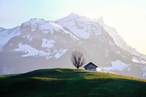A beautiful shot of a grassy field with a house near a tree and a snowy mountain in the background