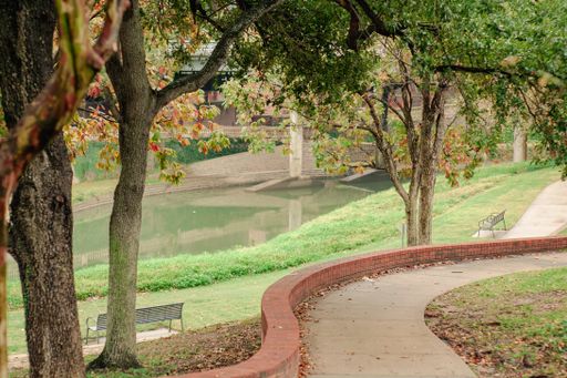 A natural view of a walkway in a park