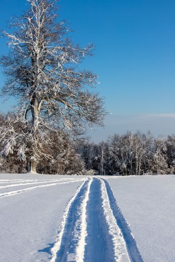 A vertical shot of snowmobile tracks on the snow under the sunlight