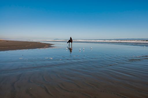 A beautiful view of an alone horse rider on the Waiterere Beach