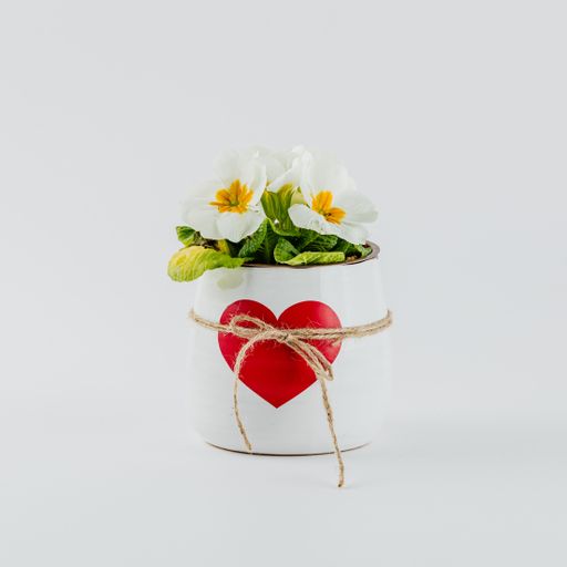 A closeup shot of Valentine's day decorations on a white background