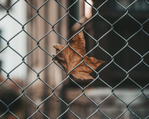 A closeup of an autumn leaf on a metal fence with pattern