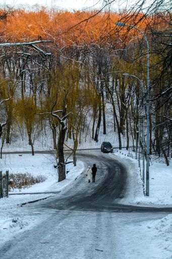 A couple walking down the street surrounded by trees in Kiev, Ukraine