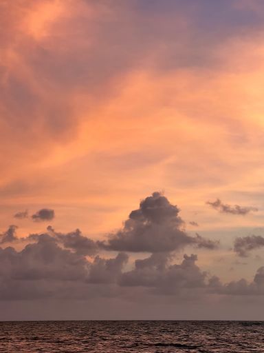 A vertical shot of the magnificent sunset on the beach in Pernambuco, Brazil