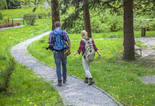 A back view of two friends walking in a park on a sunny day