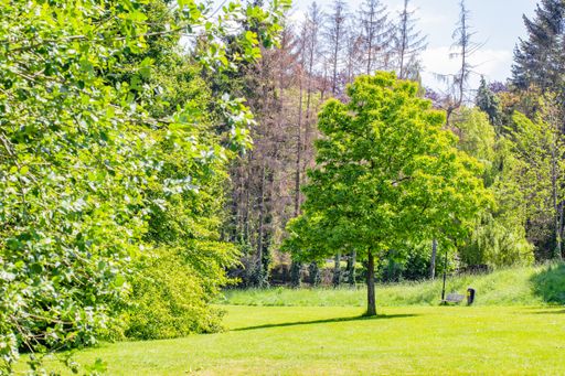 A beautiful view of the trees on the grass-covered field captured on a warm sunny day