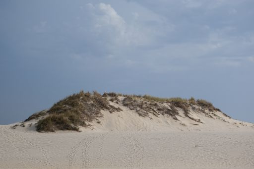 A beautiful sand dune blue skies in sunny day