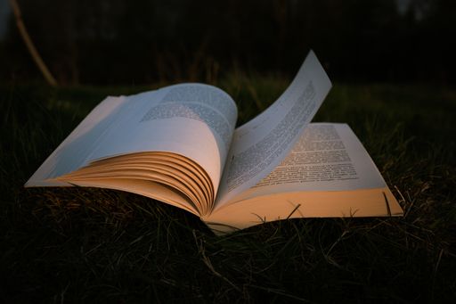 A closeup shot of an open book on the grassy ground