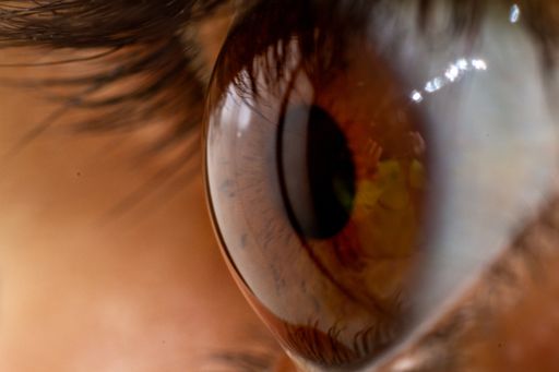 A macro of a beautiful mesmerizing brown human eye iris